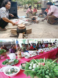 ผักพื้นบ้าน จานสุขภาพ