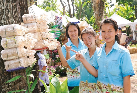 วัยซน...วิถีอินทรีย์' คิดเป็น-ทำได้-ขายเอง' thaihealth