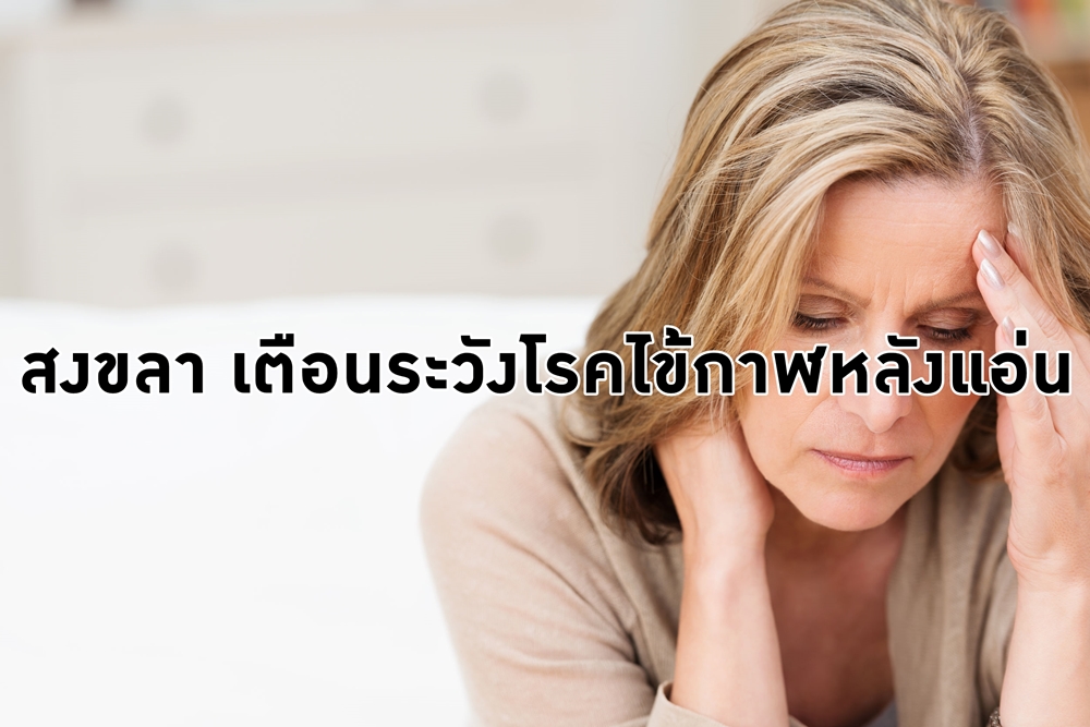 สคร. 12 สงขลา เตือนระวังโรคไข้กาฬหลังแอ่น  thaihealth
