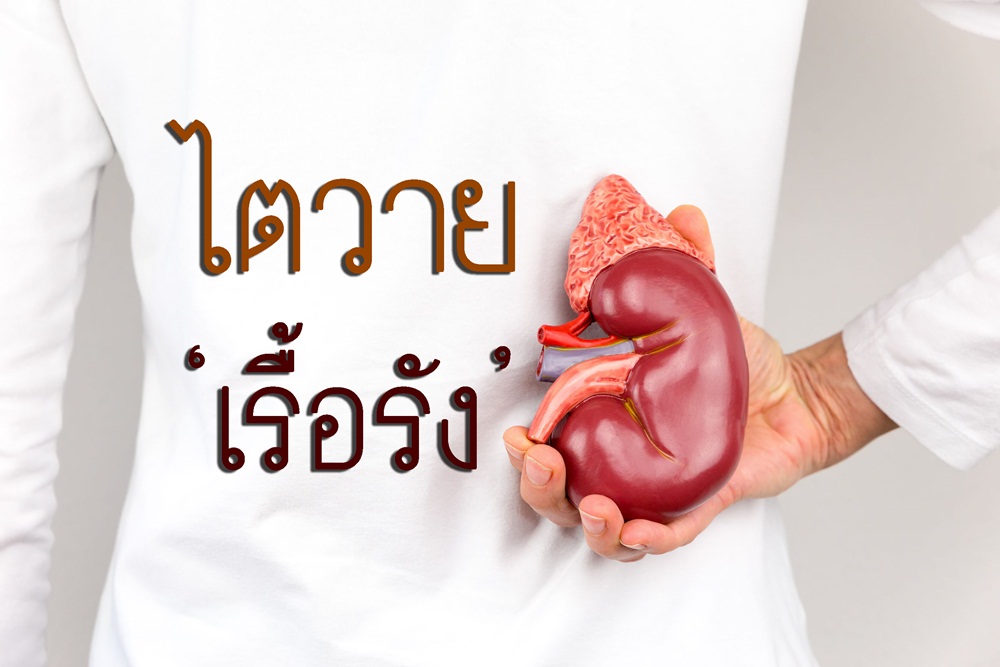 ไตวายเรื้อรัง thaihealth