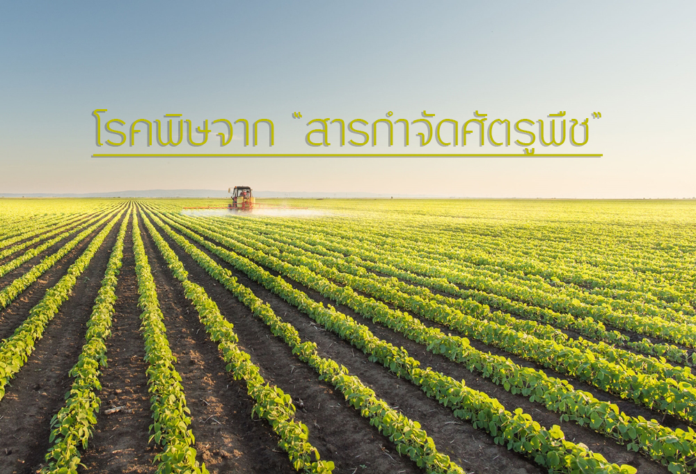 โรคพิษจากสารกำจัดศัตรูพืช thaihealth