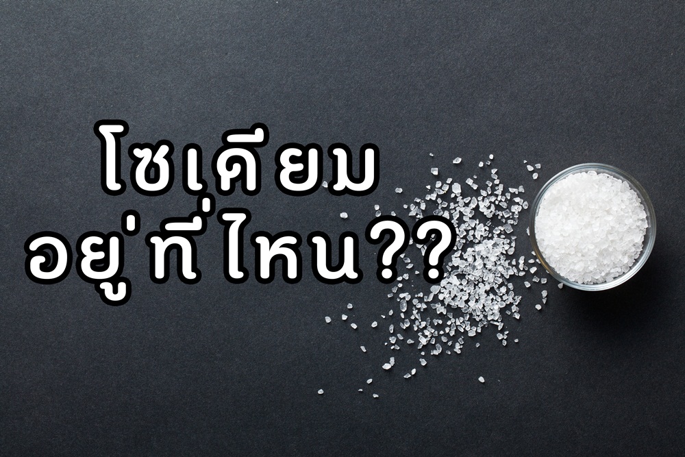 โซเดียมอยู่ที่ไหน ? thaihealth