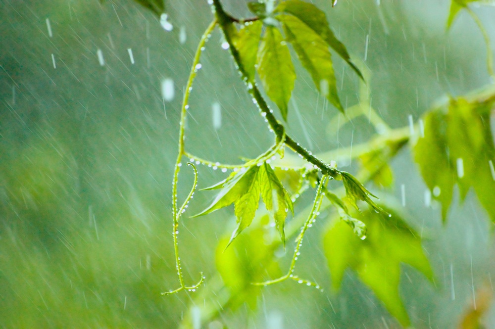 1  – 7 มิถุนายน 2561 ทั่วไทยฝนฟ้าคะนอง thaihealth