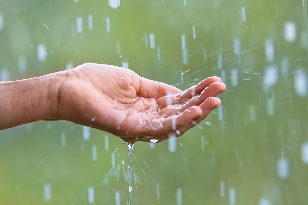 ภาคเหนือยังคงมีฝนตกมาก กทม.ฝนฟ้าคะนอง30% thaihealth