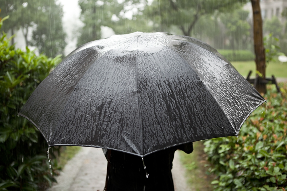 เหนือ-อีสาน มีฝนมากกว่าภาคอื่นๆ  thaihealth
