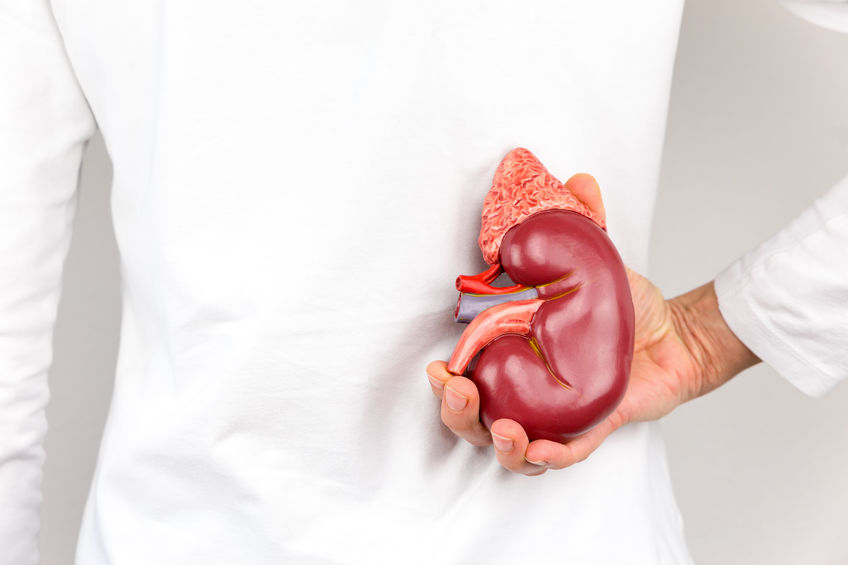 คนเชียงรายไตวายสูงรองจากกรุงเทพฯ เหตุกินแบบคนเมือง  thaihealth