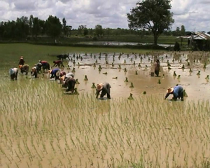 “กาฬโรคปอด” มฤตยูร้ายที่ป้องกันได้