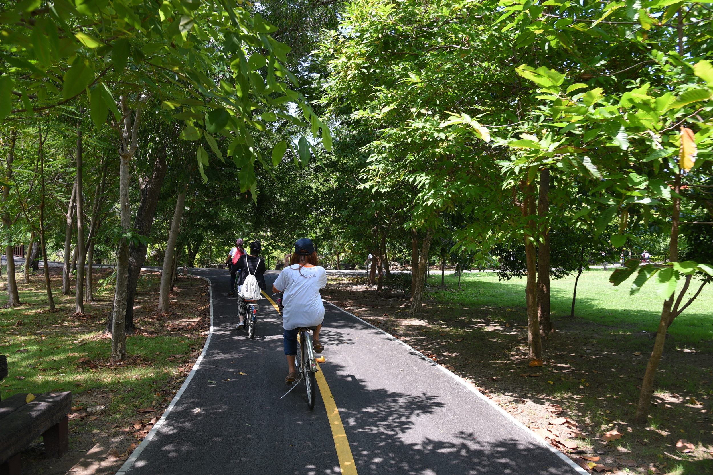 เที่ยวสนุก สุขภาพดีที่ ‘บางกระเจ้า’ thaihealth