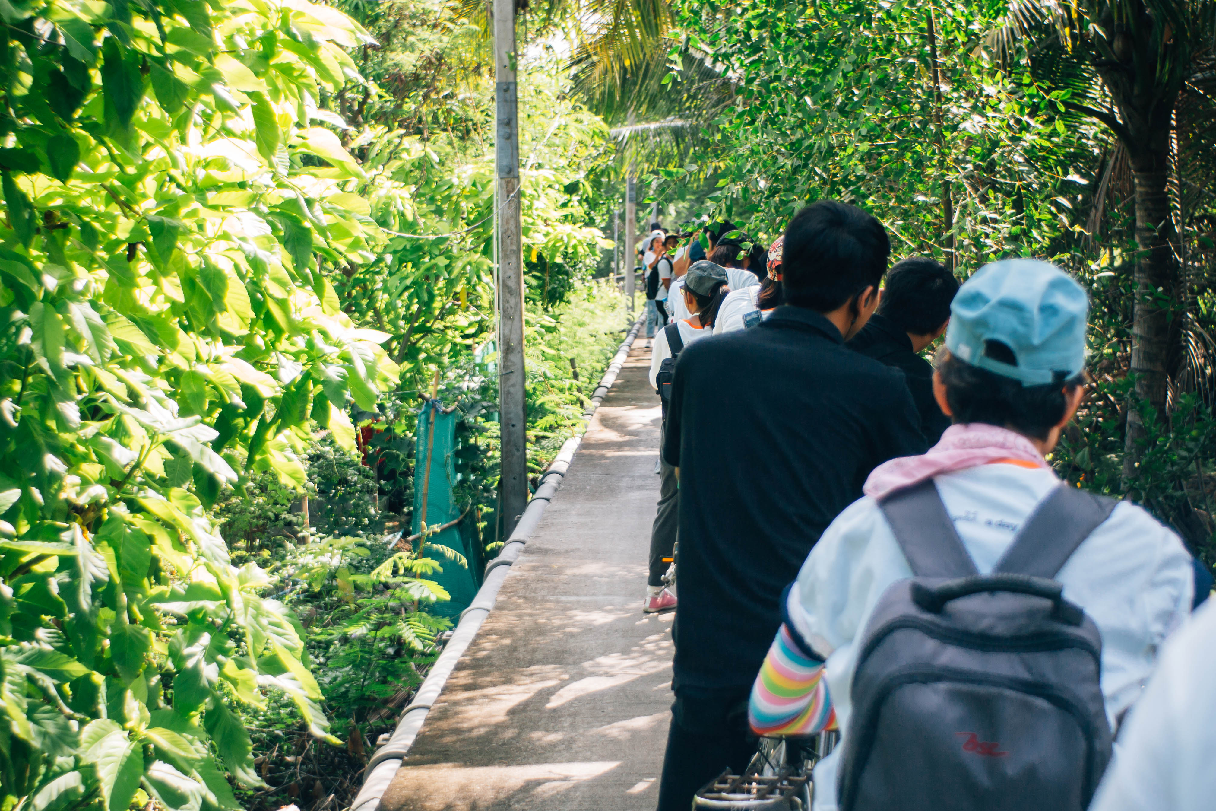 เที่ยวสนุก สุขภาพดีที่ ‘บางกระเจ้า’ thaihealth