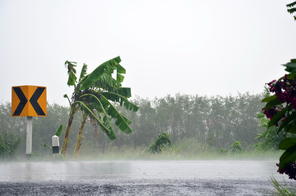 แจ้งเตือนรับมือ ภาวะฝนตกหนัก thaihealth