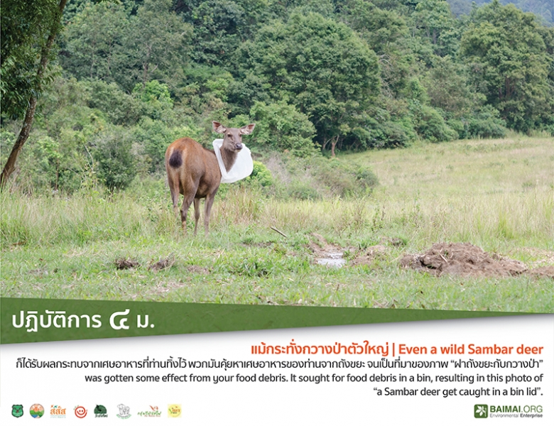 ปฏิบัติการ 4 ม.  thaihealth