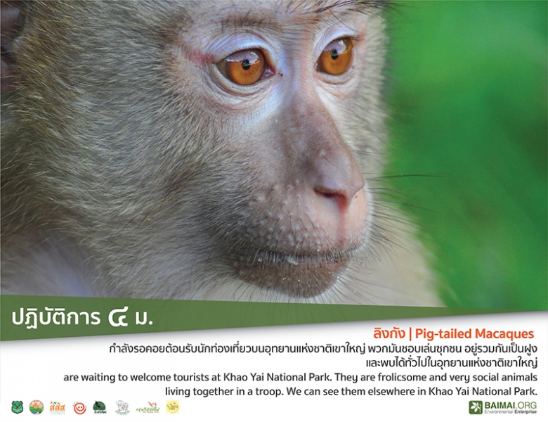 ปฏิบัติการ 4 ม.  thaihealth