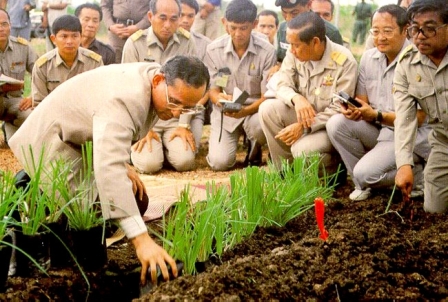 อยู่รอด พ้นภัยด้วยศาสตร์พระราชา thaihealth