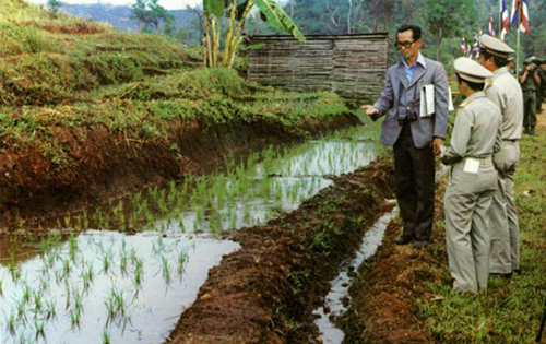 สวนผักคนเมือง วิถีพอเพียง ตามรอยพ่อ  thaihealth