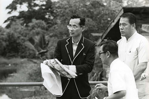 สวนผักคนเมือง วิถีพอเพียง ตามรอยพ่อ  thaihealth